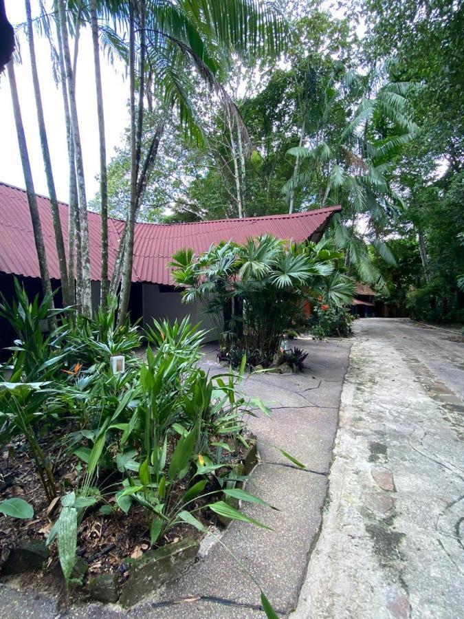 Reservamazon Forest Hotel
