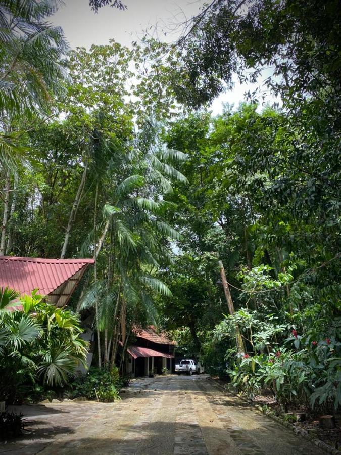 Reservamazon Forest Hotel *