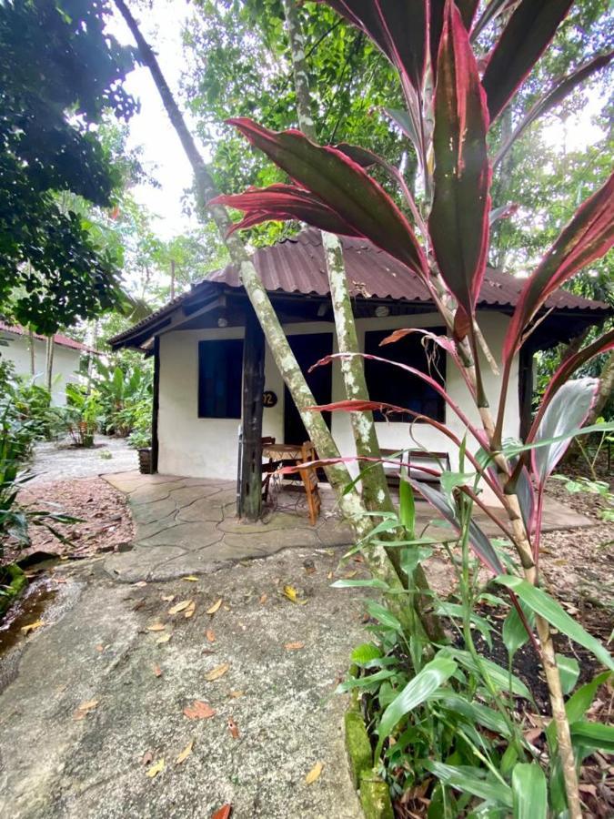 Hotel Reservamazon Forest *