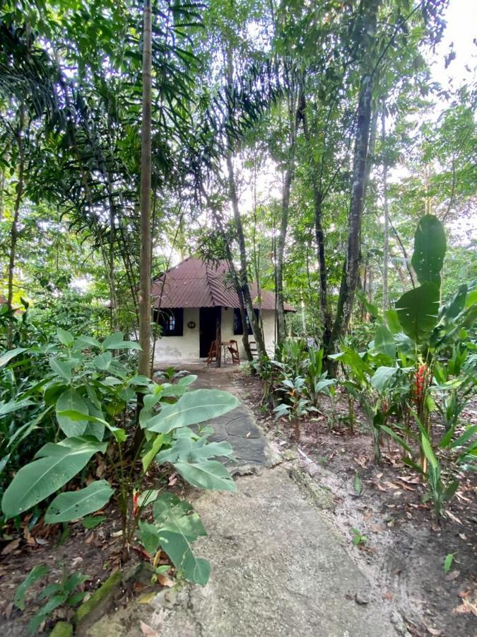 Hotel Reservamazon Forest